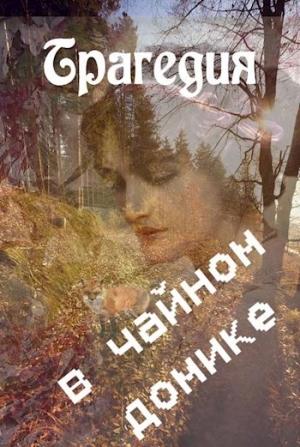 Обложка книги «Трагедия в чайном домике [СИ]» — Ника Ракитина