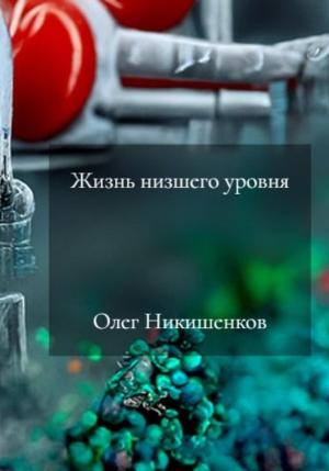 Обложка книги «Жизнь низшего уровня» — Олег Никишенков
