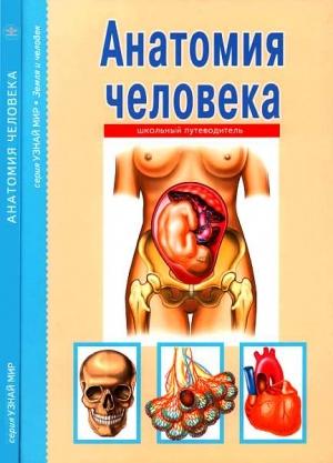 Обложка книги «Анатомия человека» — Сергей Афонькин