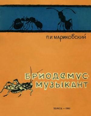 Обложка книги «Бриодемус-музыкант» — Павел Мариковский
