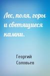 Георгий Соловьев - Лес, поля, горы и светящиеся камни.
