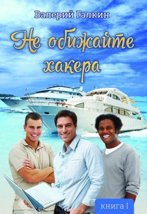 Обложка книги «Не обижайте хакера» — Валерий Галкин