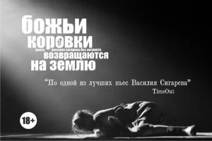 Обложка книги «Божьи коровки возвращаются на землю» — Василий Сигарев