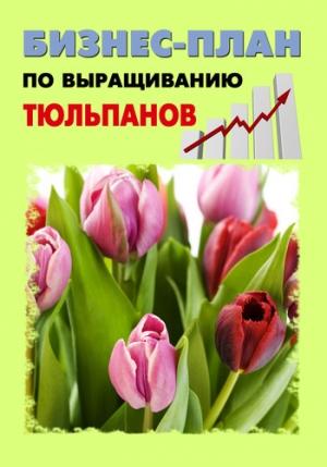 Обложка книги «Бизнес-план по выращиванию тюльпанов» — Павел Шешко, А. Бруйло