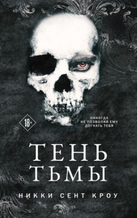 Обложка книги «Тень Тьмы» — Никки Сент Кроу
