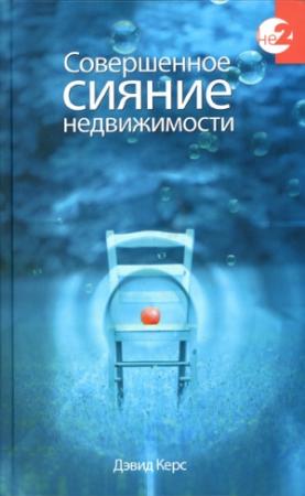 Обложка книги «Совершенное сияние недвижимости» — Дэвид Керс