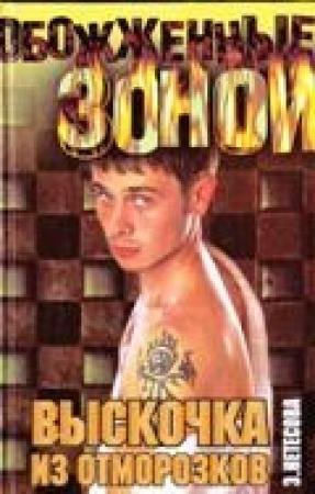 Обложка книги «Выскочка из отморозков» — Эльмира Нетесова