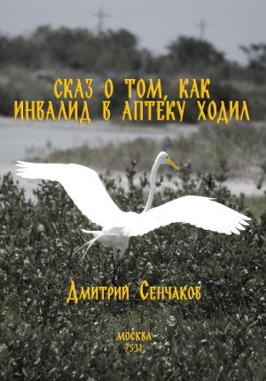 Обложка книги «Сказ о том, как инвалид в аптеку ходил» — Дмитрий Сенчаков