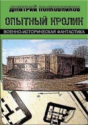 Обложка книги «Герой не нашего времени. Эпизоды I и II» — Дмитрий Полковников