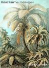 Константин Бояндин - Папоротник
