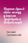 Евгений Сапожинский - Падение Луны в овраг между улицами Здоровцева и Добровольцев