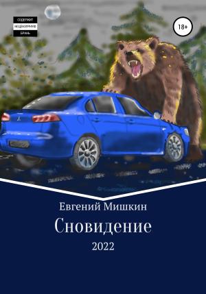 Обложка книги «Сновидение» — Евгений Мишкин