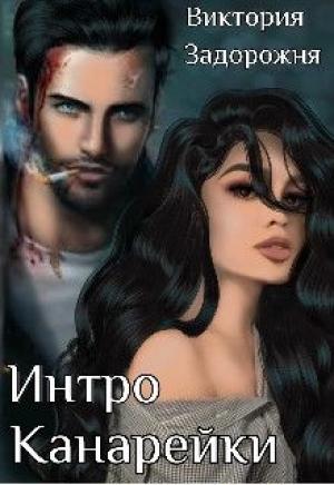 Обложка книги «Интро Канарейки» — Виктория Задорожня