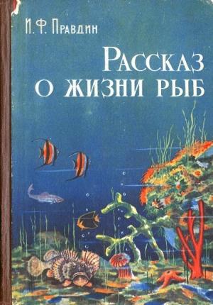 Обложка книги «Рассказ о жизни рыб» — Иван Правдин