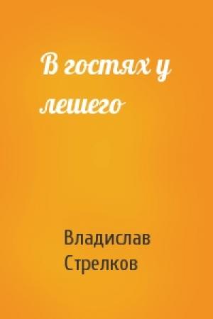 Обложка книги «В гостях у лешего» — Владислав Валентинович Стрелков
