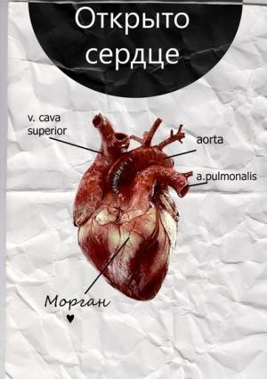 Обложка книги «Открыто сердце (СИ)» — Ирина Фингерова