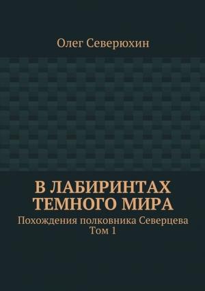 Обложка книги «В лабиринтах тёмного мира» — Олег Северюхин