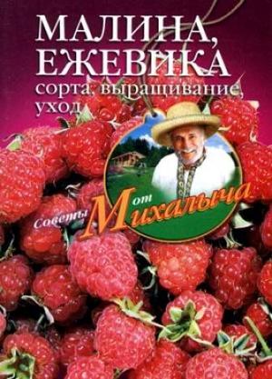 Обложка книги «Малина, ежевика. Сорта, выращивание, уход» — Николай Звонарев