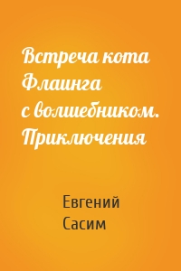 Встреча кота Флаинга с волшебником. Приключения