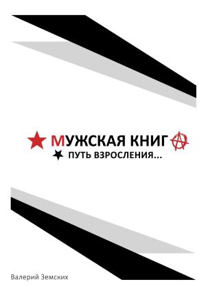 Обложка книги «Мужская книга. Путь взросления» — Валерий Земских