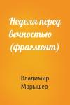 Владимир Марышев - Неделя перед вечностью (фрагмент)