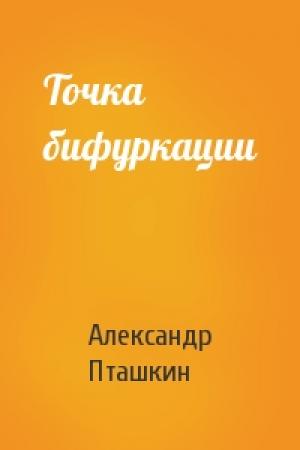 Обложка книги «Точка бифуркации» — Александр Пташкин