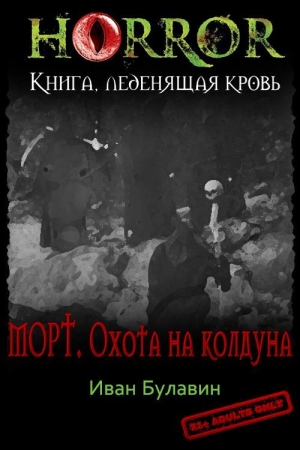 Обложка книги «Морт. Охота на колдуна» — Иван Владимирович Булавин