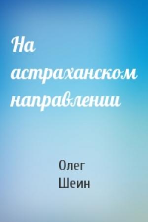 Обложка книги «На астраханском направлении» — Олег Шеин