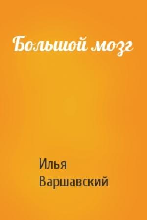 Обложка книги «Большой мозг» — Илья Варшавский