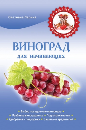 Обложка книги «Виноград для начинающих» — Светлана Ларина