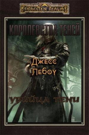 Обложка книги «Убийца Тени» — Джесс Лебоу
