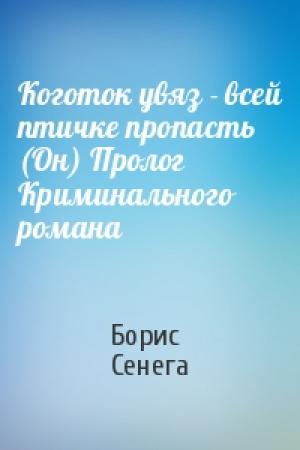 Обложка книги «Коготок увяз - всей птичке пропасть (Он) Пролог Криминального романа» — Борис Сенега