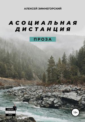 Обложка книги «Асоциальная дистанция» — Алексей Зимнегорский