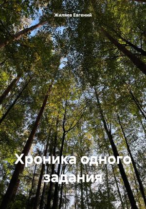 Обложка книги «Хроника одного задания» — Евгений Жиляев