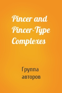 Pincer and Pincer-Type Complexes