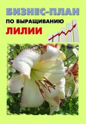 Обложка книги «Бизнес-план по выращиванию лилии» — Павел Шешко, А. Бруйло