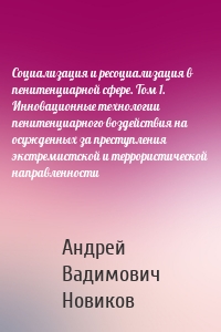 Социализация и ресоциализация в пенитенциарной сфере. Том 1. Инновационные технологии пенитенциарного воздействия на осужденных за преступления экстремистской и террористической направленности