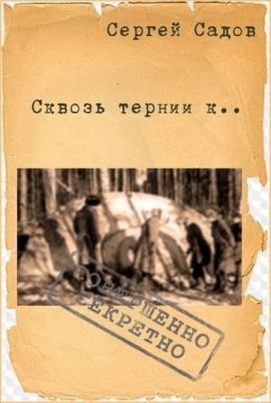 Обложка книги «Сквозь тернии к...» — Сергей Садов