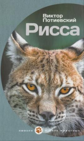 Обложка книги «Рисса» — Виктор Потиевский