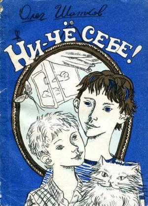 Обложка книги «Ни-чё себе!» — Олег Шатков