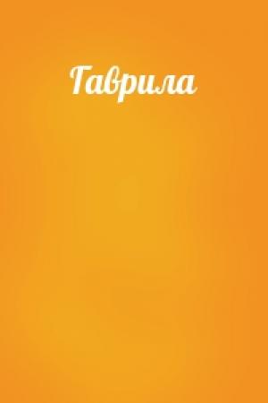 Обложка книги «Гаврила»