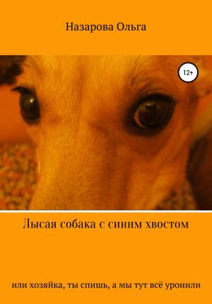 Обложка книги «Лысая собака с синим хвостом, или хозяйка, ты спишь, а мы тут всё уронили!» — Ольга Назарова