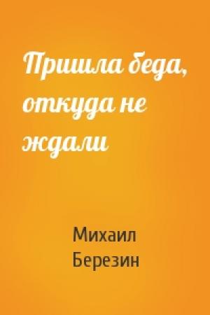 Обложка книги «Пришла беда, откуда не ждали» — Михаил Березин