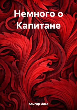 Обложка книги «Немного о Капитане» — Илья Алигор
