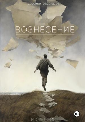 Обложка книги «Вознесение» — Игорь Шамин