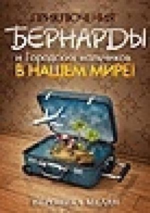 Обложка книги «Приключения Бернарды и Городских мальчиков в нашем мире (СИ)» — Вероника Мелан