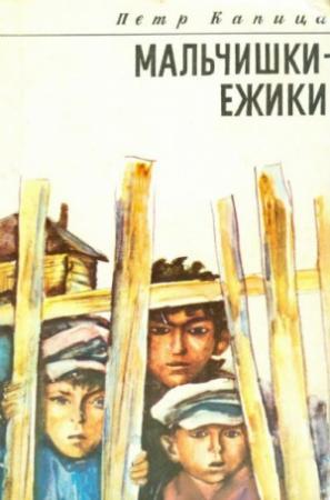 Обложка книги «Мальчишки-ежики» — Петр Капица