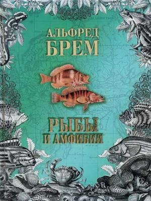 Обложка книги «Жизнь животных. Рыбы и амфибии» — Альфред Брем