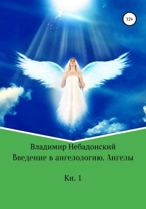 Обложка книги «Введение в ангелологию. Ангелы» — Владимир Небадонский
