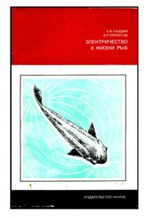 Обложка книги «Электричество в жизни рыб» — Александр Лаздин, Владимир Протасов